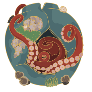 Standard Cephalopod Pin