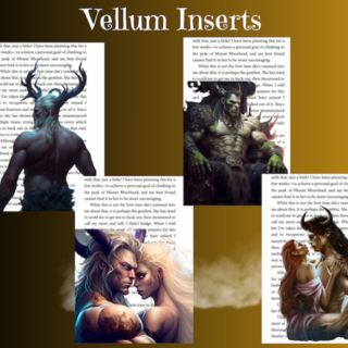 Vellum inserts set (no shipping)