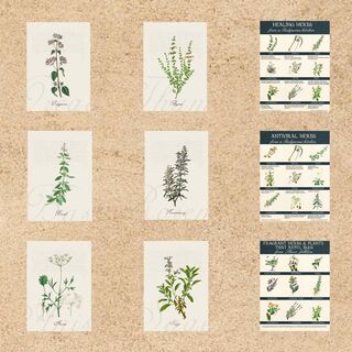 Set of six 8.5 x11 digital botanical images and three fact sheets