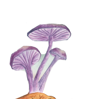 Washi Sticker: Green Elf Cups