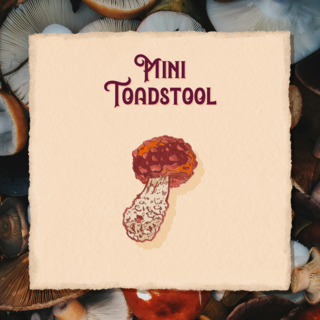 Mini Toadstool Pin