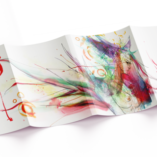 Dust Jacket (Standard Size)