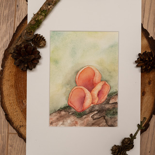 Painting Pink Elf Cups
