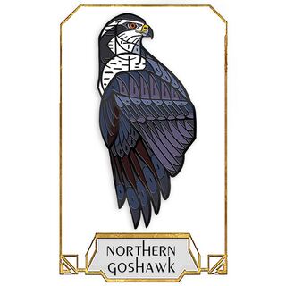Northern Goshawk Pin