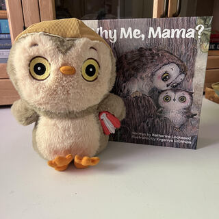 Rose Owl Plush + Book Set