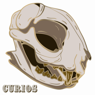 Cat Skull Enamel Pin