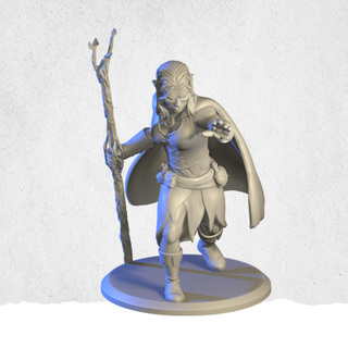 Wildest Shape Druid Mini Kit