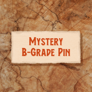 🔮 Mystery B-Grade Pin 🔮