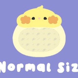 Normal size -BIRD ITA BAG-