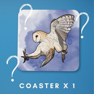 Coaster