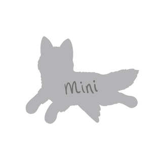 MINI Fox Plush
