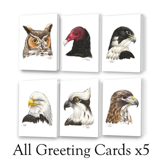 Raptor Greeting Card Complete Set X5