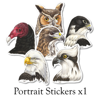 Raptor Portrait Sticker