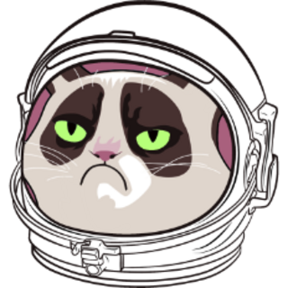 Cat Astronaut (Patch)