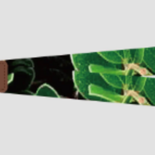 lanyard