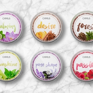 6 Pack "Discovery" Essential Oil Infusers