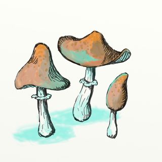 Little Mushrooms - pewter sprue