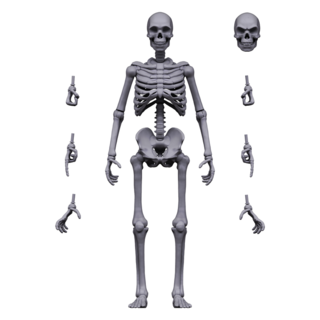 Grey Skeleton