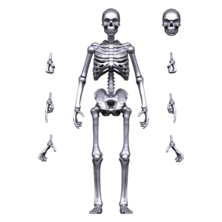 Silver Skeleton