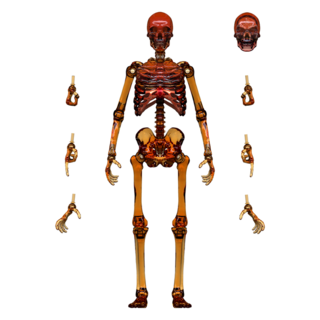 Translucent Orange Skeleton