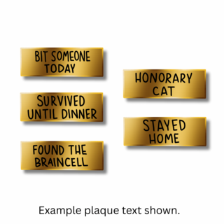 Plaque Magnet for Customizable Trophy