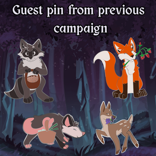 Guest pin from pervious campaign