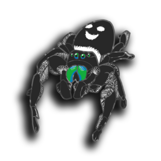 Regal Jumping Spider Pin