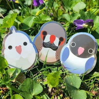 Mirror Sticker Bundle