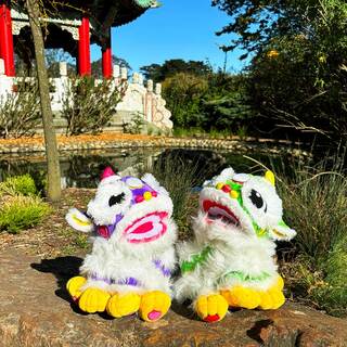 Chinese Lions Pair