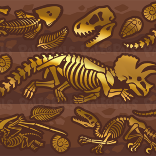 Fossilized Washi tape