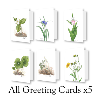 Wildflower Greeting Card Complete Set X5