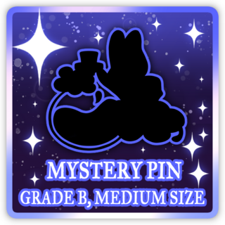 Enamel Pin - Grade B Medium Mystery