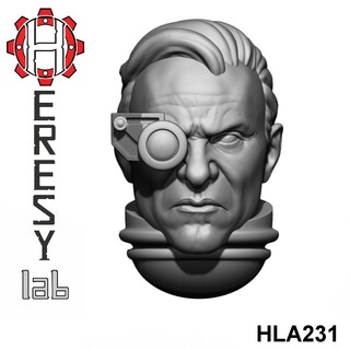 HLA231