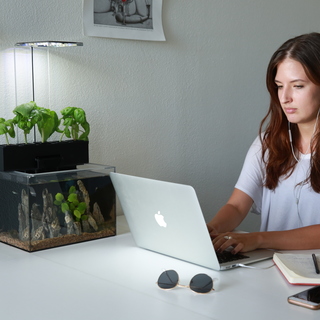 GET 40% OFF the EcoQube C+!