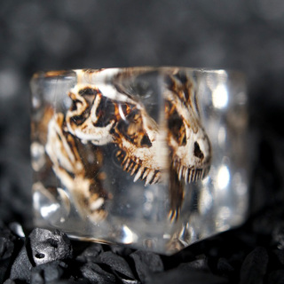 Fossil Dice: Mini Skull D6