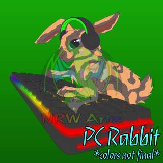 PC Rabbit Mega Pin