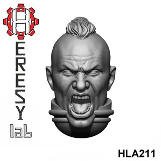 HLA211