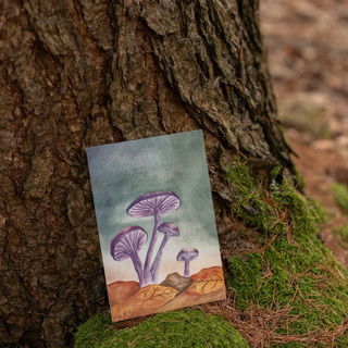 Art Print: Laccaria Amethystina