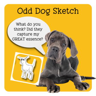 Odd Dog Sketch