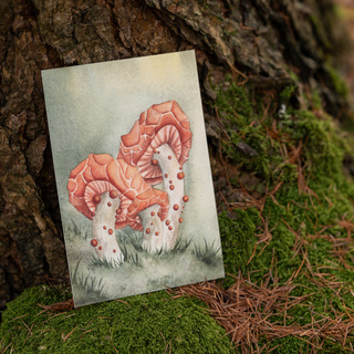 Art Print: Rhodotus Palmatus