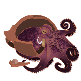 Large Cephalopod Pin
