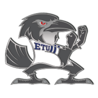 ETU Ravens Pin (Print)