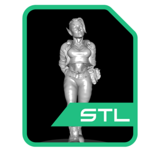 Player Character RPG Pose Miniature STLs