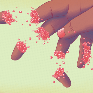 Finger Limes Print