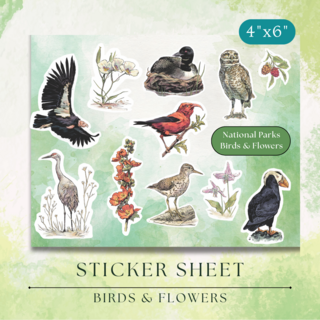 Sticker Sheet | Birds & Flowers