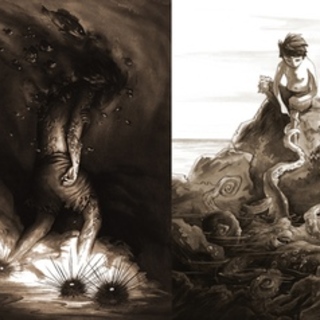 Intertidal Print Set