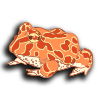 Pacman Frog Pin