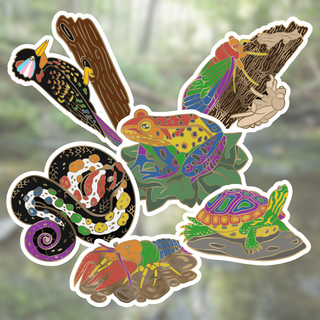 Rainbow Sticker Set