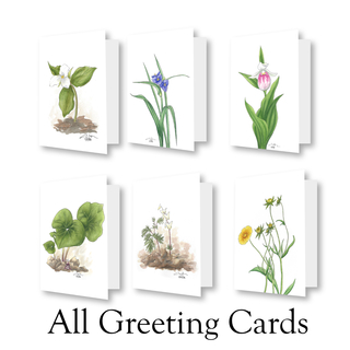 Wildflower Greeting Card Complete Set