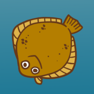 Olive Flounder